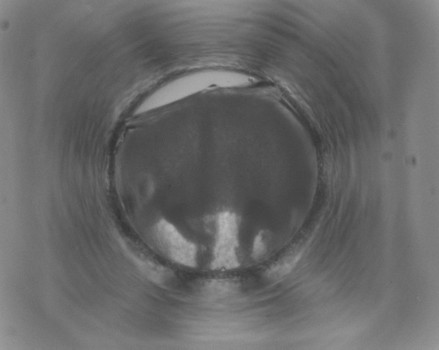 X0000071850303200607211859