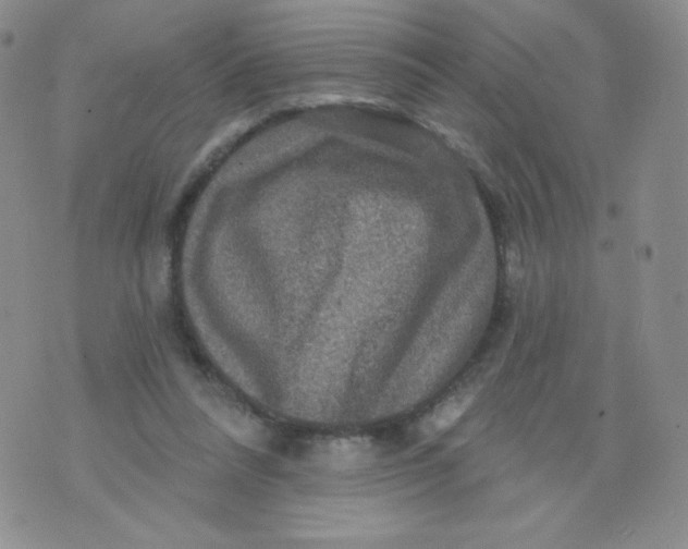 X0000071850304200607211859