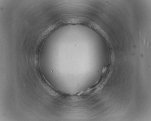 X0000071850305200607211859