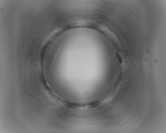 X0000071850306200607211859