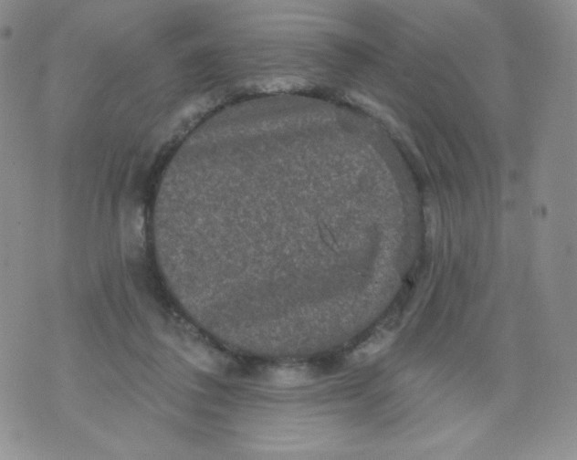 X0000071850308200607211859