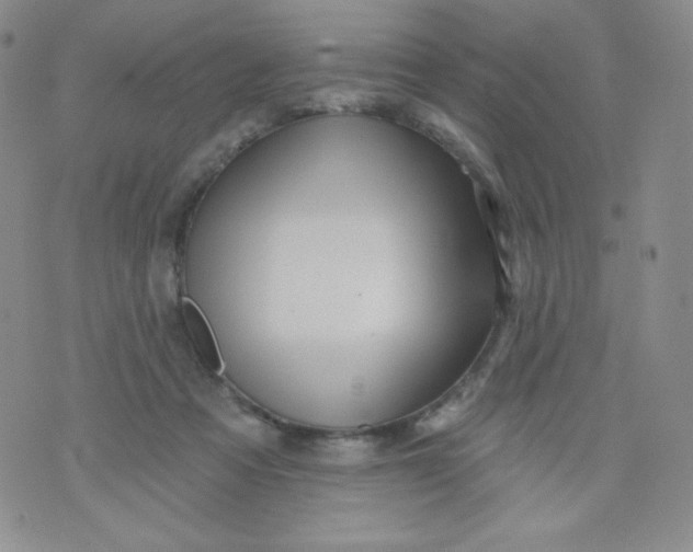 X0000071850313200607211859