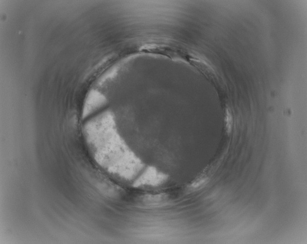 X0000071850314200607211859