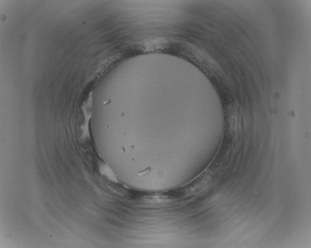 X0000071850316200607211859