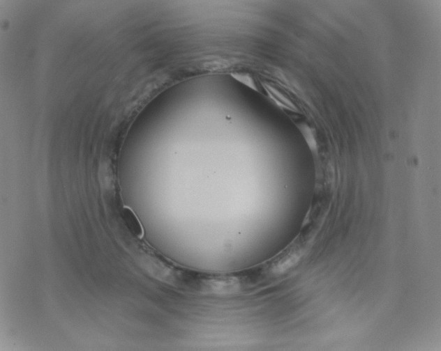 X0000071850317200607211859