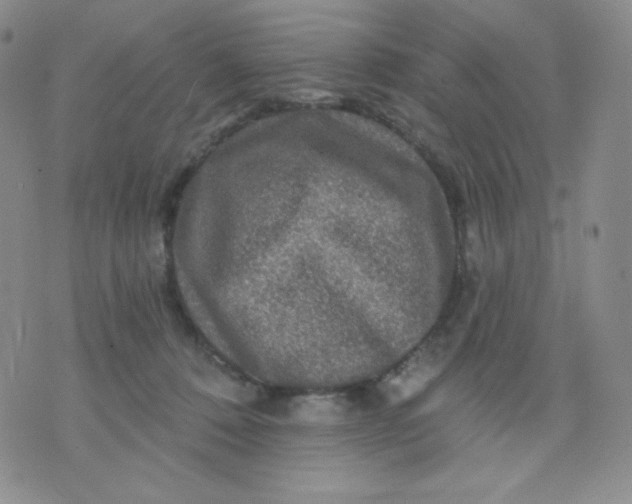 X0000071850320200607211859