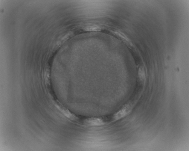 X0000071850322200607211858