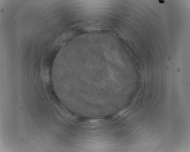 X0000071850323200607211858