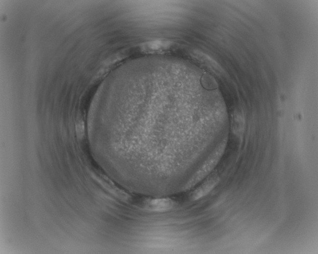 X0000071850324200607211858