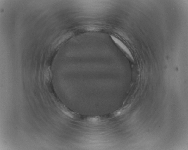 X0000071850325200607211858