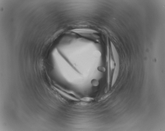 X0000071850326200607211858