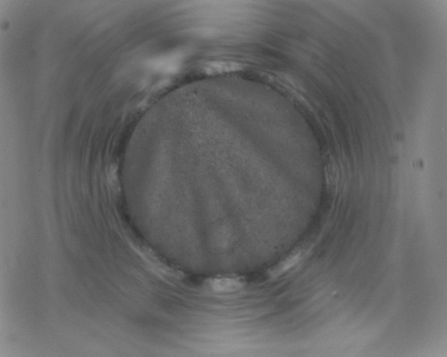 X0000071850327200607211858