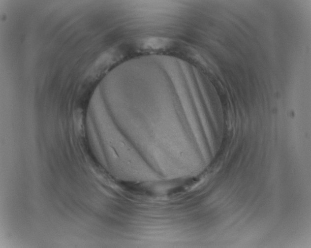 X0000071850328200607211858