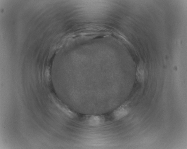 X0000071850330200607211858