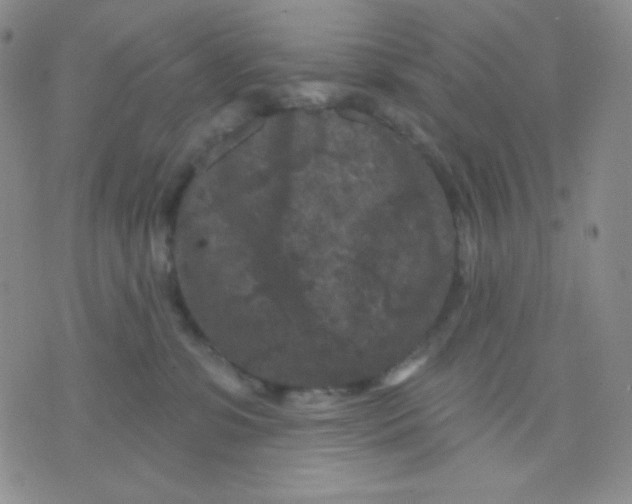 X0000071850331200607211858