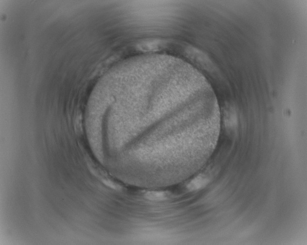 X0000071850332200607211858