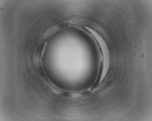 X0000071850333200607211858