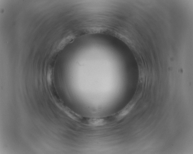 X0000071850334200607211858