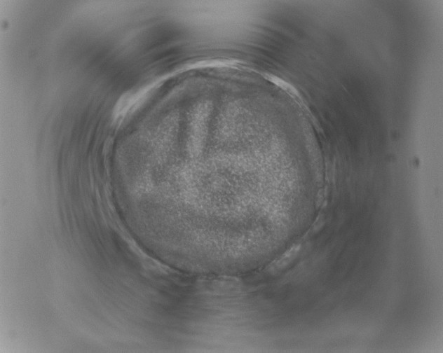 X0000071850337200607211857