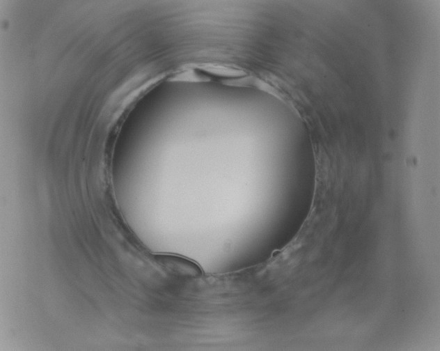 X0000071850338200607211858