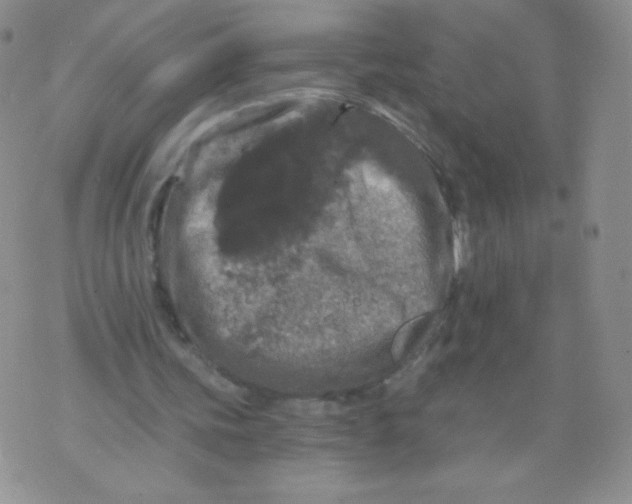 X0000071850339200607211858