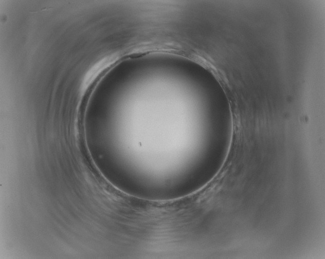 X0000071850340200607211858