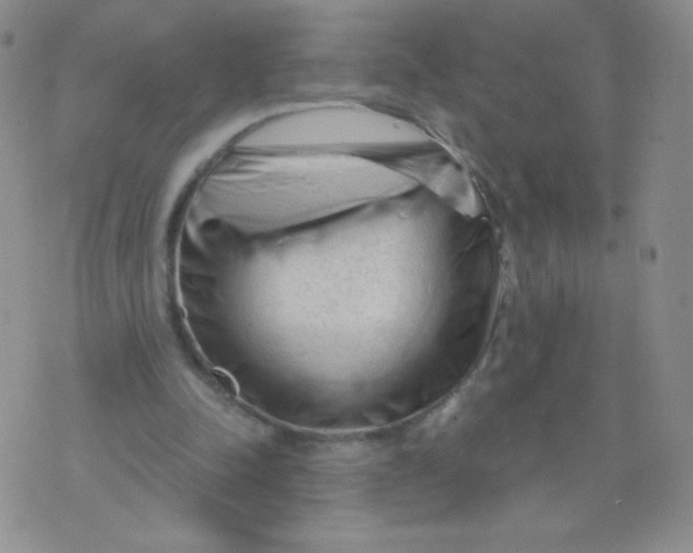 X0000071850342200607211858