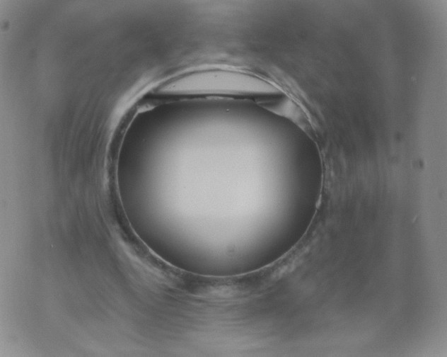 X0000071850344200607211858