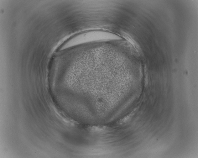 X0000071850346200607211858