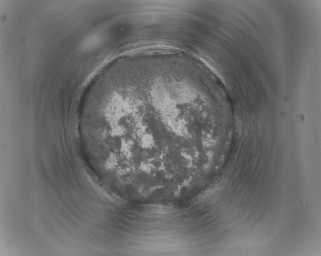 X0000071850347200607211858