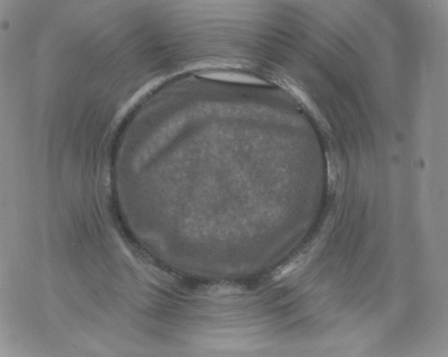 X0000071850348200607211858