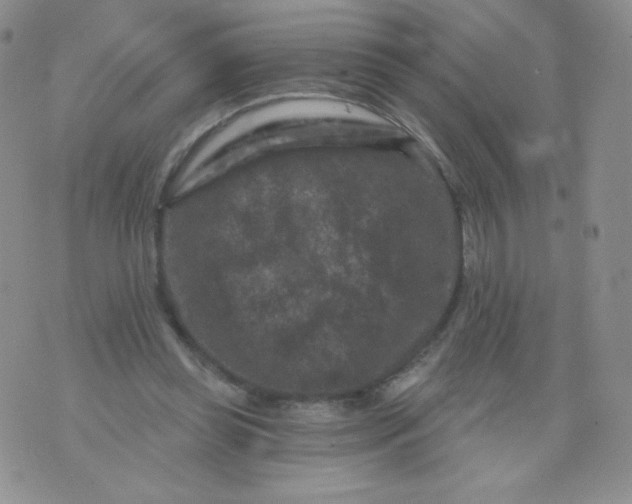 X0000071850349200607211858