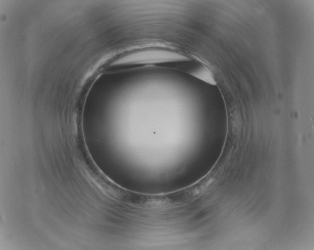 X0000071850350200607211858