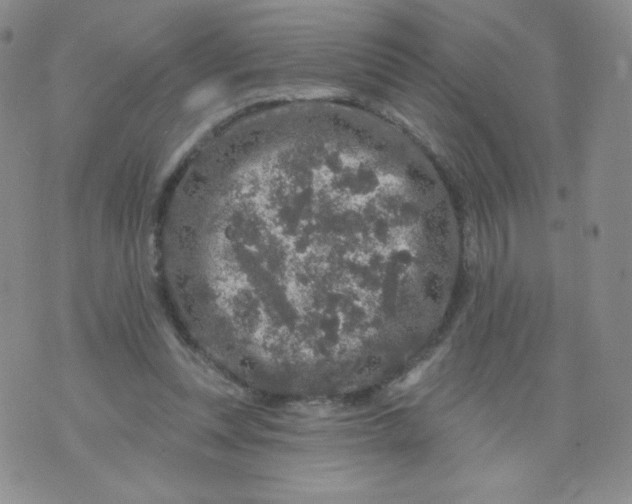 X0000071850351200607211858