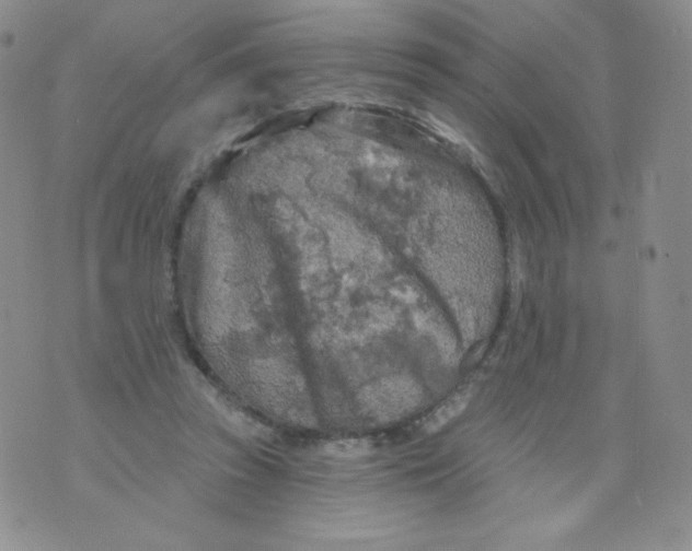 X0000071850353200607211858