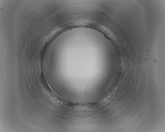 X0000071850354200607211858