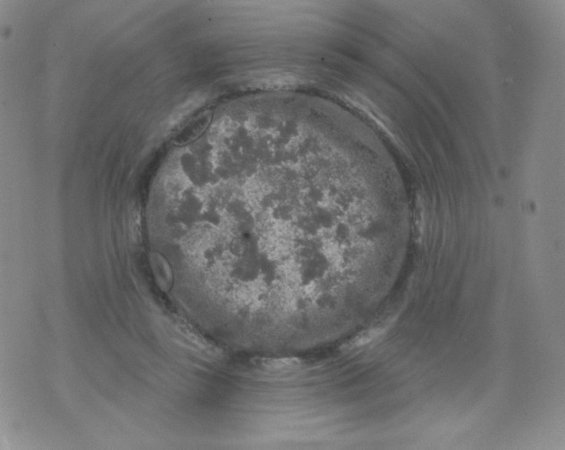 X0000071850355200607211858