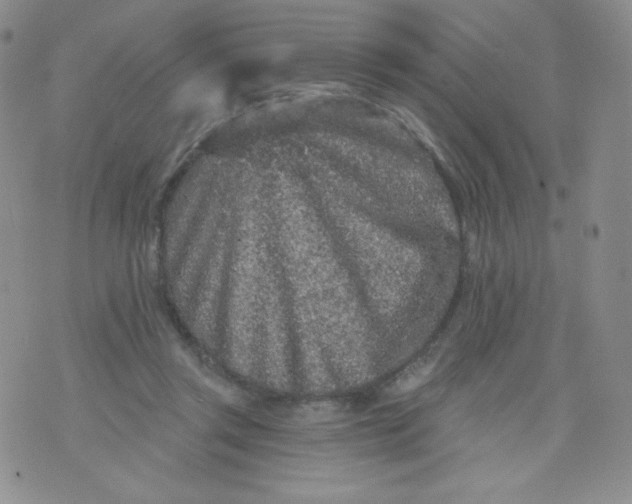 X0000071850357200607211858