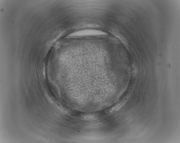 X0000071850358200607211858