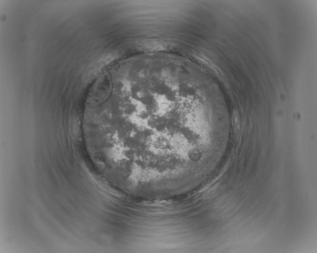 X0000071850359200607211858