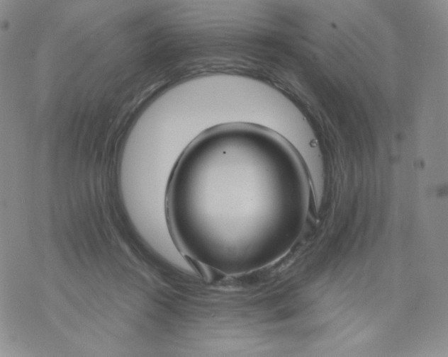 X0000071850360200607211858