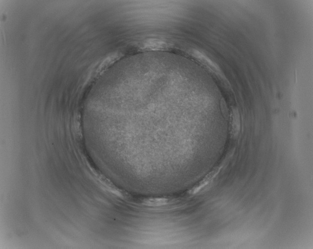 X0000071850361200607211858