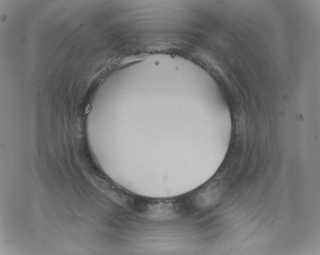 X0000071850362200607211858