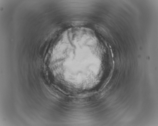 X0000071850367200607211858