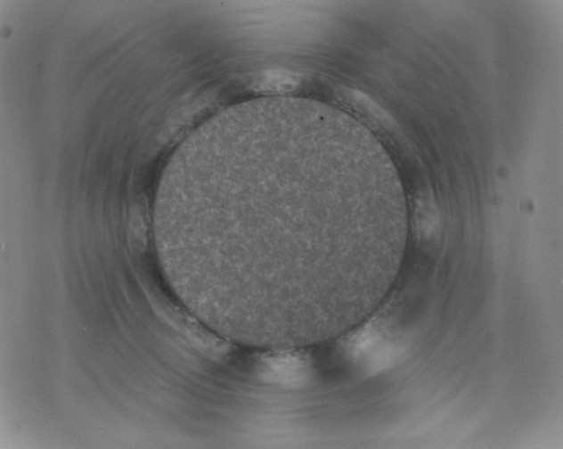 X0000071850370200607211858