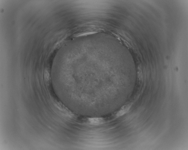 X0000071850371200607211858