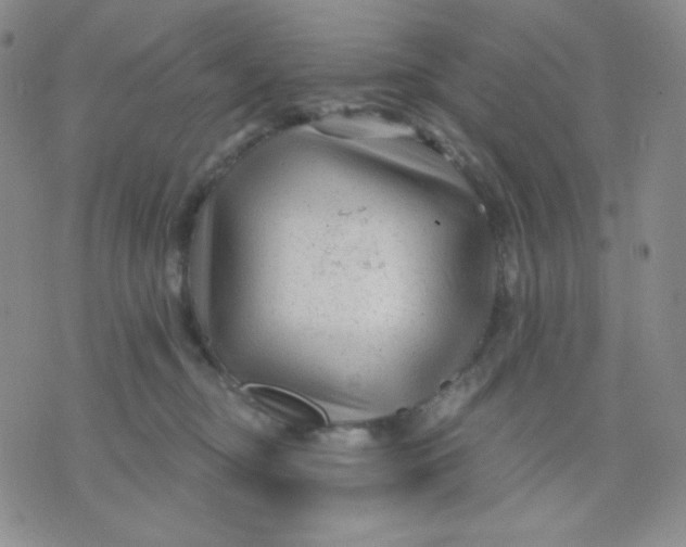 X0000071850374200607211858