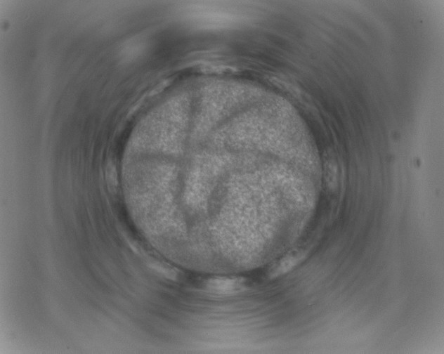 X0000071850375200607211858