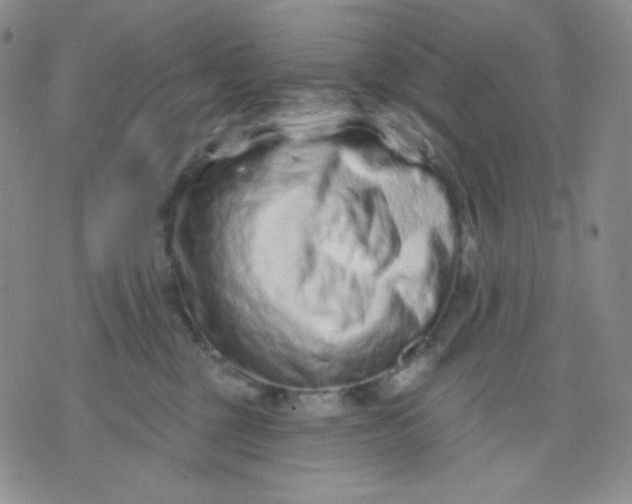 X0000071850377200607211858