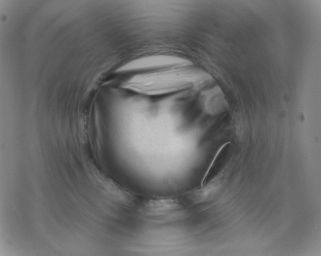 X0000071850378200607211858